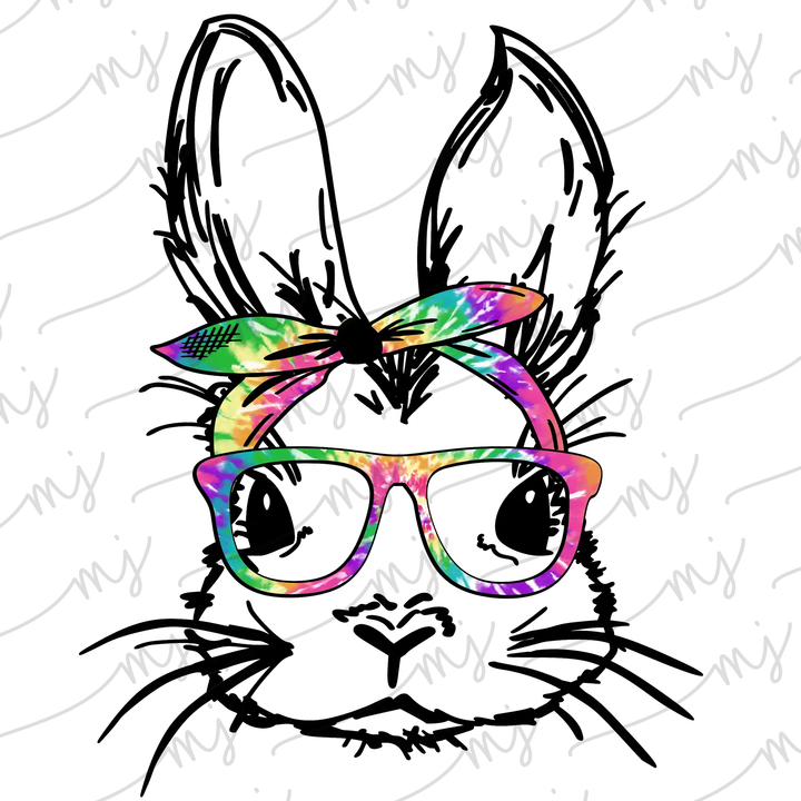 Transfer :: Bunny #1