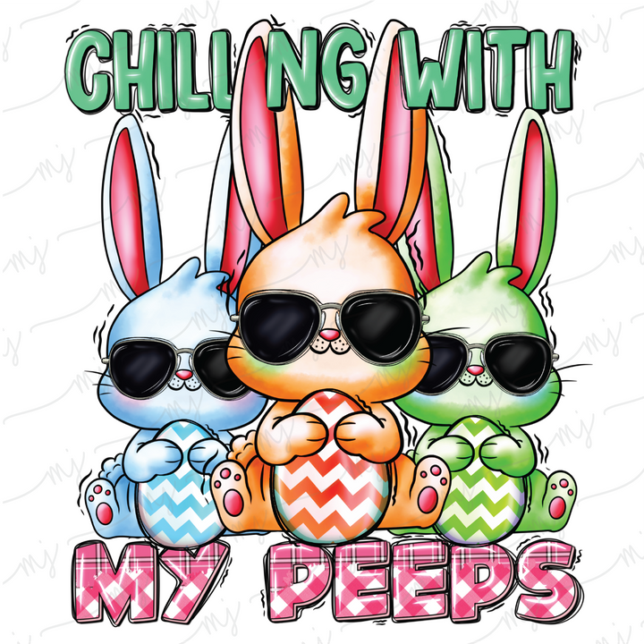 Transfer :: Chilling With My Peeps #3