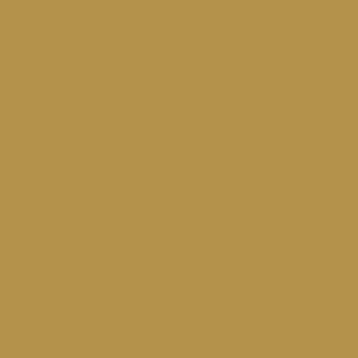 ThermoFlex Plus Metallic HTV :: Dark Gold 9842