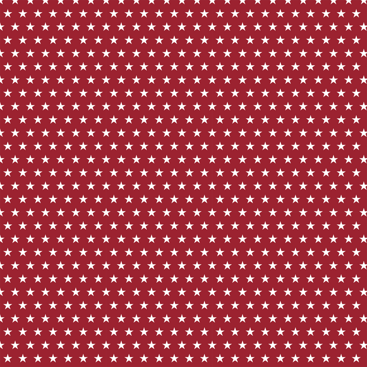 Athena Vinyl :: Red Stars #1